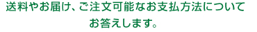 送料やお届け、ご注文可能なお支払い方法についてお答えします。 送料やお届け、ご注文可能なお支払い方法についてお答えします。